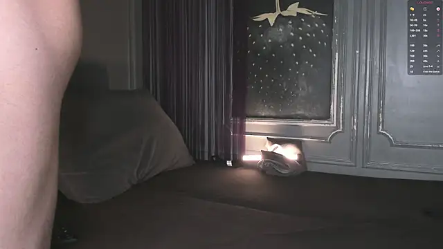 WayneWilson webcam