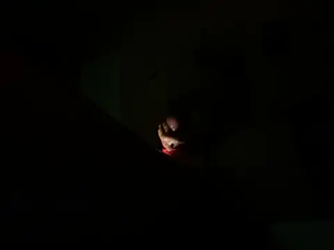 daddydonkey84 webcam