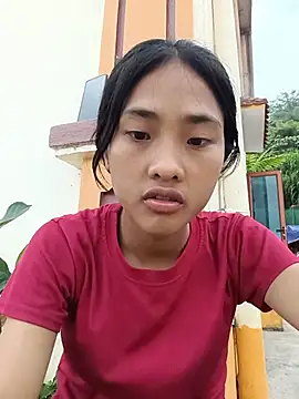 Hoa-tuylip webcam