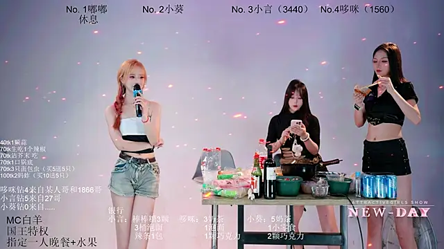 NEW-DAY webcam