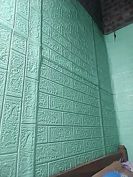 opna43 webcam