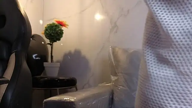Kitten_Cam webcam