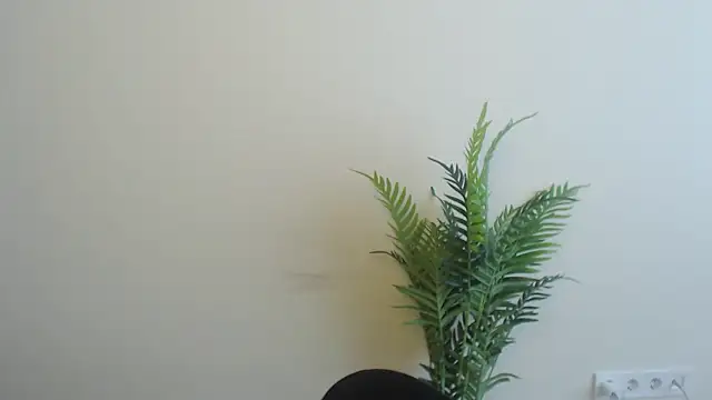 Sun_Shine__ webcam