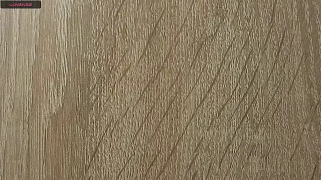 NoFace_Model webcam