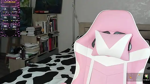 bbJ_one webcam