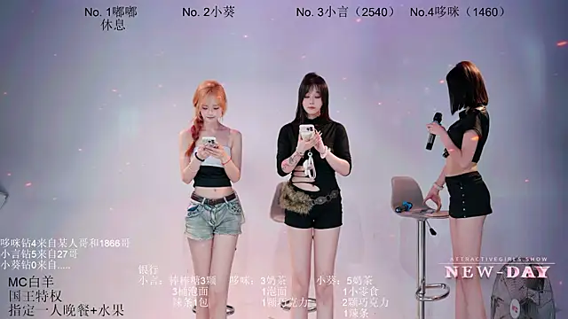 NEW-DAY webcam