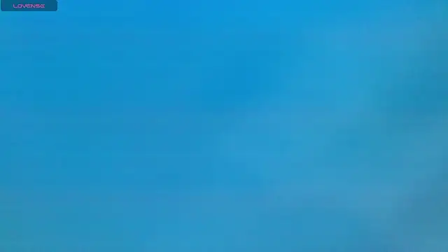 EL_VENEZOLANO_22CM webcam