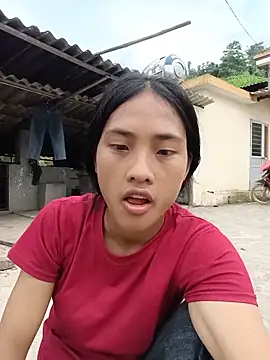 Hoa-tuylip webcam