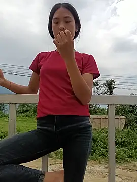 Hoa-tuylip webcam