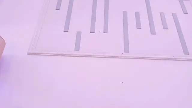 aniemorningstar webcam