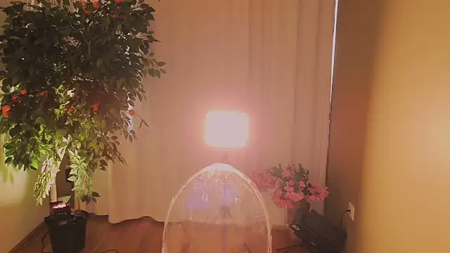 Alice-Lidel webcam