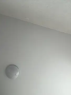 AlishaOfThorns webcam