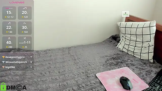 Vedime webcam