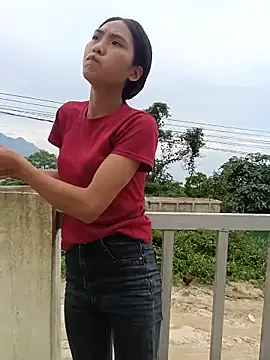 Hoa-tuylip webcam