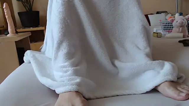 Dorina webcam