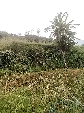 Bianca_Nina webcam