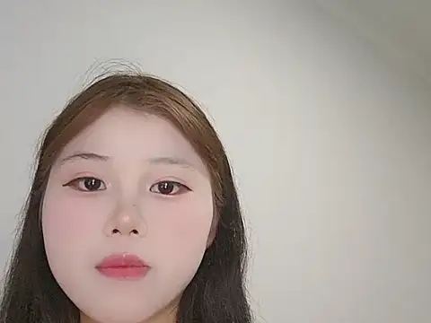 TYS-710 webcam