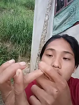 Hoa-tuylip webcam