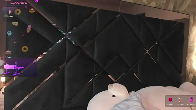 KaelSoft_ webcam