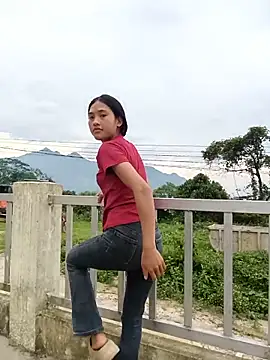 hoa-tuylip
