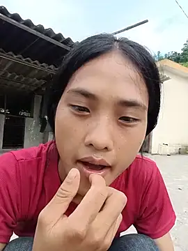 Hoa-tuylip webcam