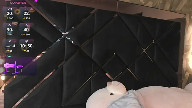 KaelSoft_ webcam