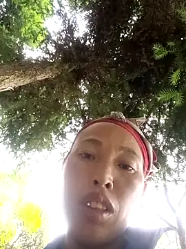 NIANIAKUTE webcam