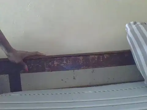 babyzillan webcam