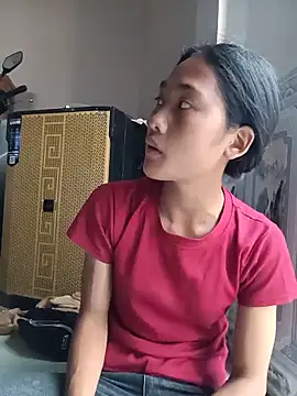 Hoa-tuylip