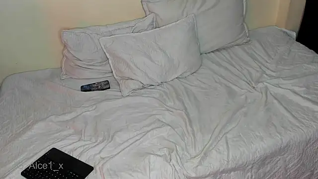 Alice_fox__- webcam