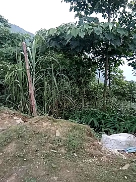 kalara_kail webcam