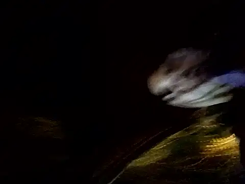 hot-daring webcam