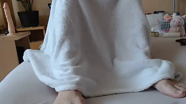 Dorina webcam