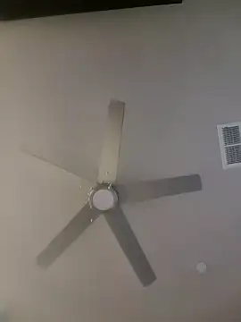 yourMasterisBored webcam