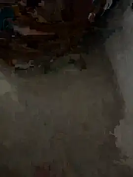 masterpatel786