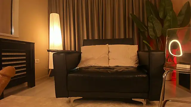 torri_kitten webcam