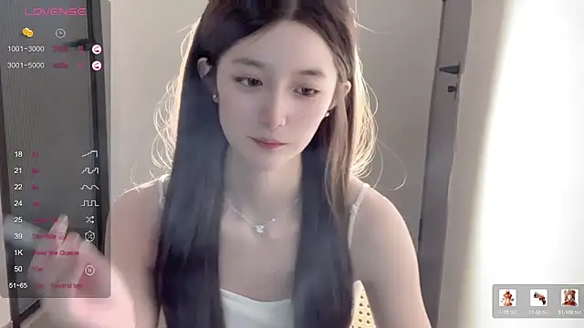UU-1314 webcam