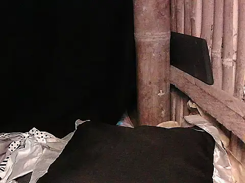 Huntrix2025 webcam