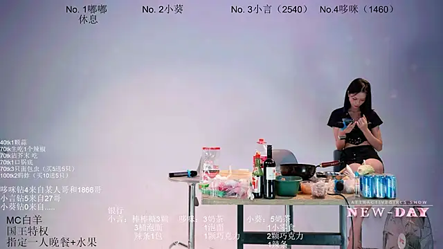 NEW-DAY webcam