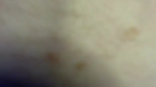 jaqrabit webcam