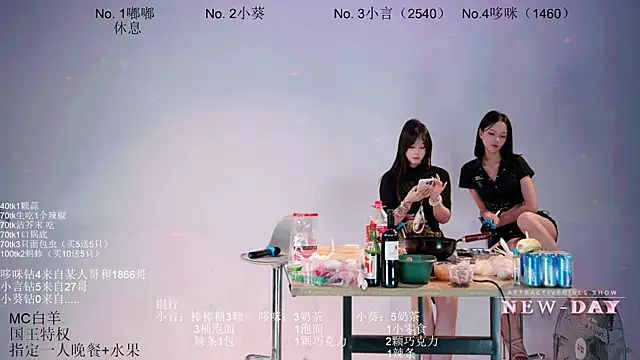 NEW-DAY webcam