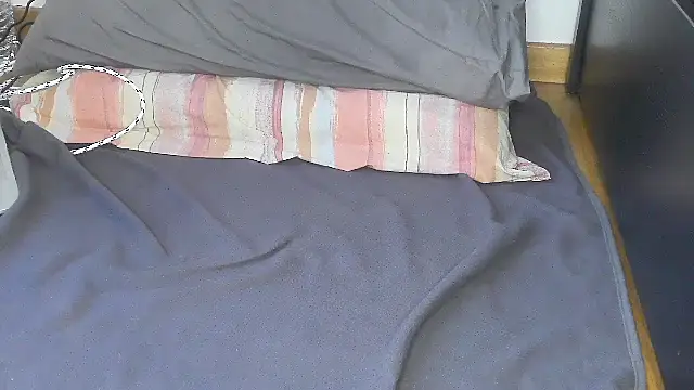 Analvision26 webcam