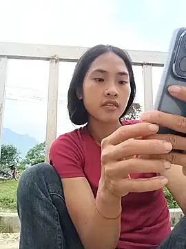 Hoa-tuylip webcam