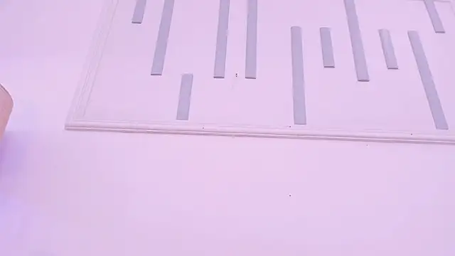 aniemorningstar webcam