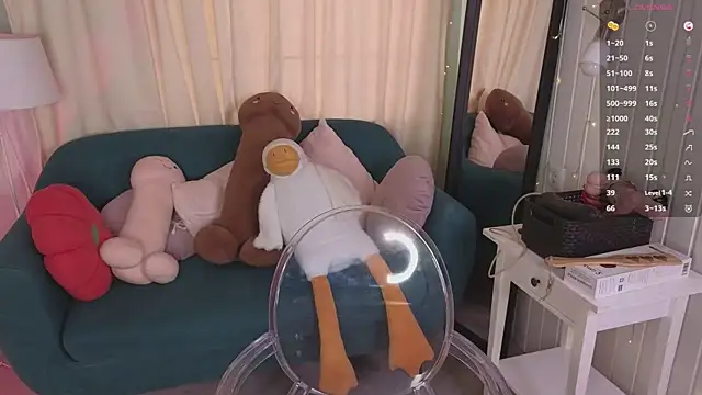 Mira_Falls webcam