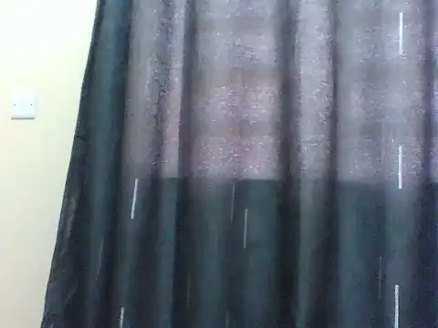 Tehiller webcam