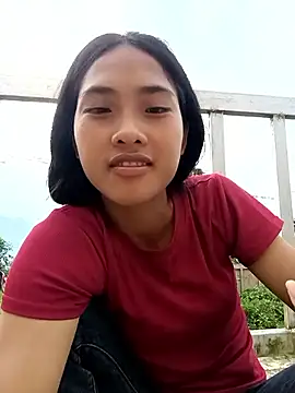 Hoa-tuylip webcam