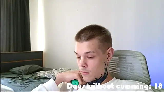 DENIS_HERE webcam