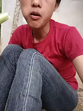 hoa-tuylip