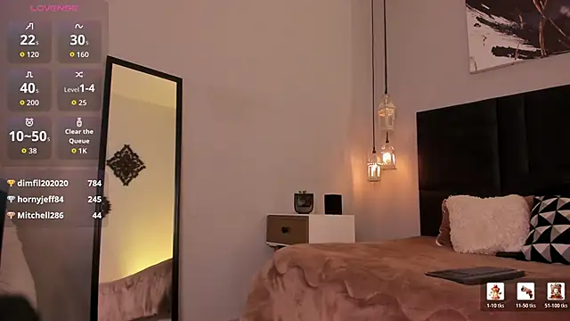 evazul webcam